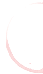 p3 icon